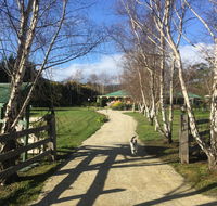 Green Gables BB - Accommodation Noosa