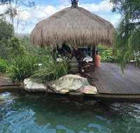 Hinterland Hideaway - Accommodation Noosa