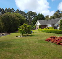 Jarrah - Accommodation Noosa