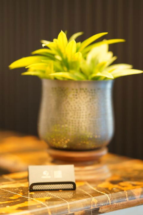 Jephson Hotel & Apartments - Accommodation Noosa 3