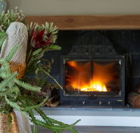 KOALA GULLY - Accommodation Noosa