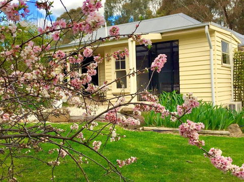 Koovelly Garden Studio - Accommodation Noosa 2