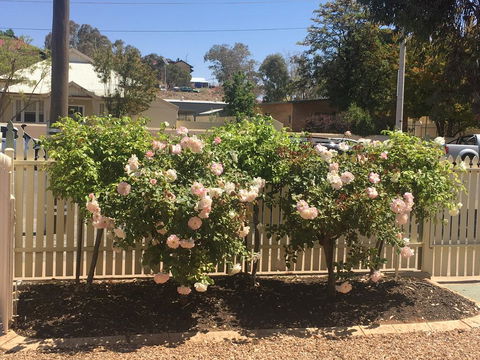 Maeville Cottage - Accommodation Noosa 3