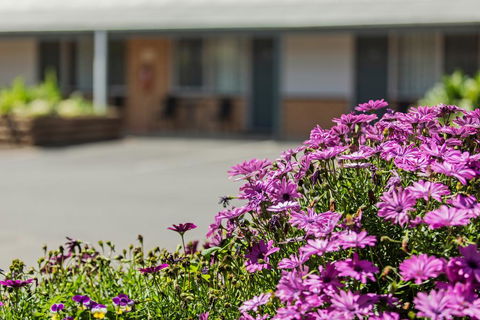 Maffra Motor Inn - Accommodation Noosa 2