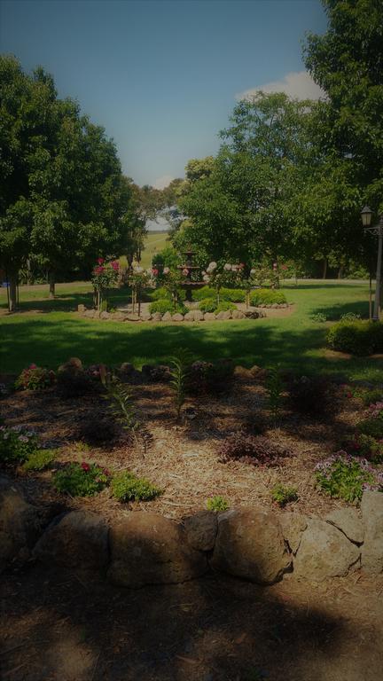 Manderley Park Farmstay B&B - Accommodation Noosa 3
