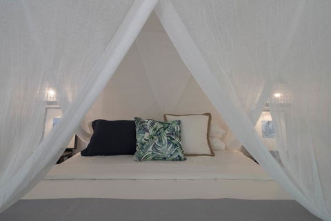 Mist At Cape Tribulation - Accommodation Noosa 3