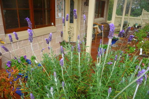 Mountain Escape - Accommodation Noosa 2