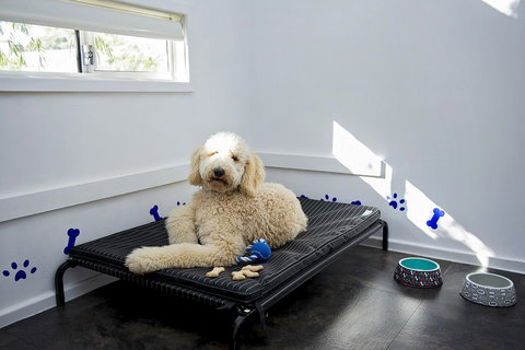 Discovery Parks - Woodman Point - Accommodation Noosa 7