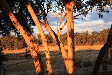 Hotham Ridge Estate - Accommodation Noosa 30