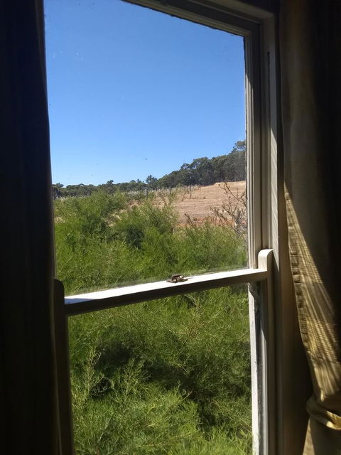 Hotham Ridge Estate - Accommodation Noosa 8