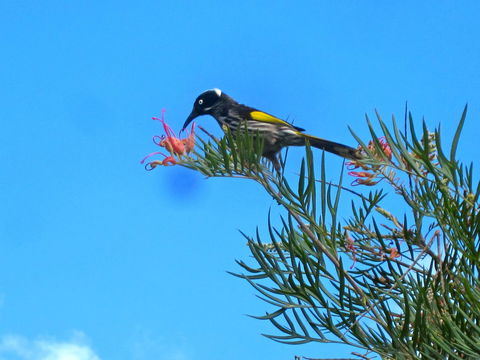 Bridgetown Valley Lodge - Accommodation Noosa 42