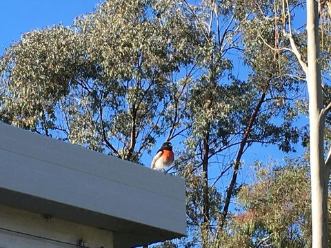Applegate Lane Chalet - Accommodation Noosa 27