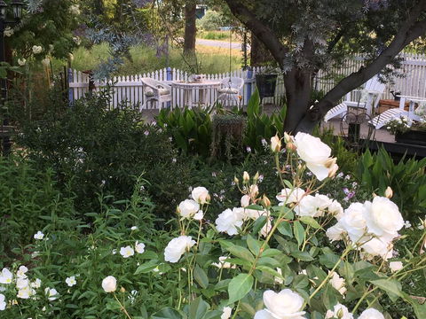 Applegate Lane Chalet - Accommodation Noosa 22