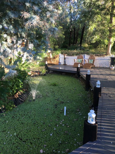Applegate Lane Chalet - Accommodation Noosa 23