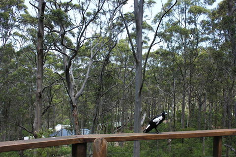 Ark Of Denmark - Accommodation Noosa 11
