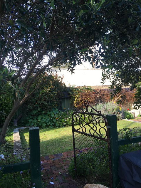 RoseMoore Bed & Breakfast - Accommodation Noosa 1