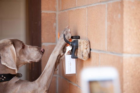 EUCLA MOTOR HOTEL - Accommodation Noosa 21