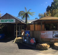 Tullah Lakeside Lodge - Accommodation Noosa