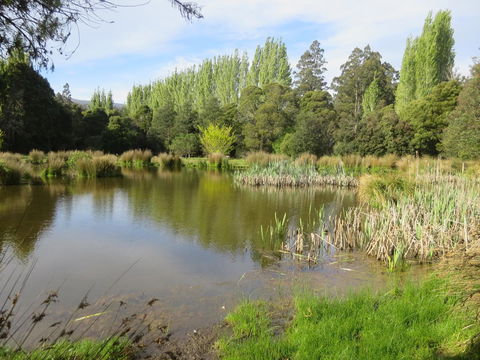 Giants Table And Cottages - Accommodation Noosa 25