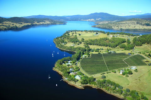 Anchorage Waterfront Retreat - Accommodation Noosa 28