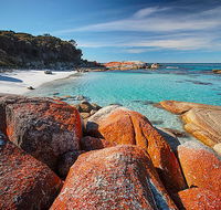 Homelea Accommodation - Accommodation Noosa