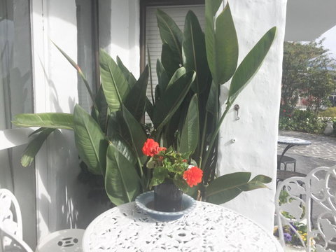 Million Dollar Views - Accommodation Noosa 30