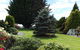 Highgrove - thumb 20