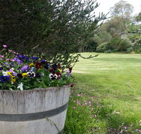 Padthaway Caravan Park - Accommodation Noosa