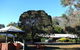 Pinnacle Holiday Lodge - thumb 2