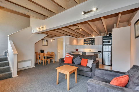 Pinot - Accommodation Noosa 0