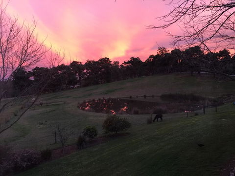 Raynella Alpaca Farmstay - Accommodation Noosa 1