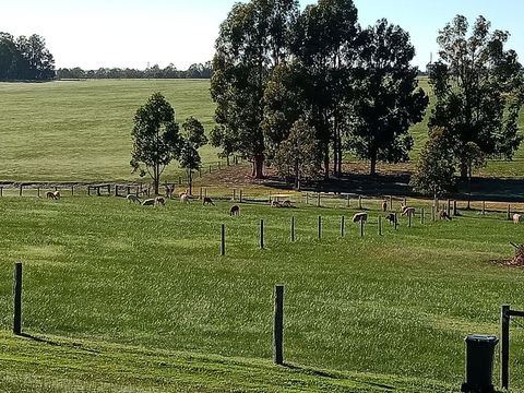 Redtail Ridge Cottages - Accommodation Noosa 1