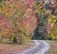 Rustic Spirit - Accommodation Noosa