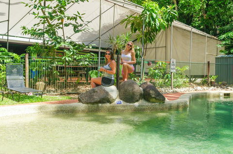 Safari Lodge - Accommodation Noosa 2