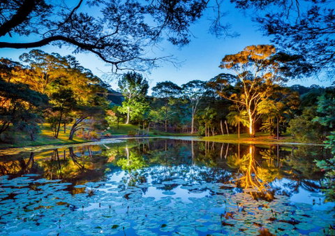 Sensom Luxury Bed And Breakfast - Accommodation Noosa 2