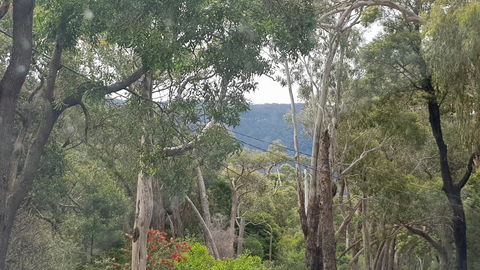 Six Seasons - Halls Gap - Accommodation Noosa 3