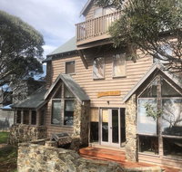 Square Bear-DPA - Accommodation Noosa