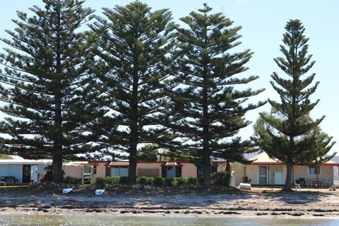Tall Pines Beach House At Mount Dutton Bay (part Of Coffin Bay Waterways) - Accommodation Noosa 1