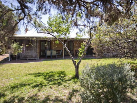 Tea Tree - Accommodation Noosa 1