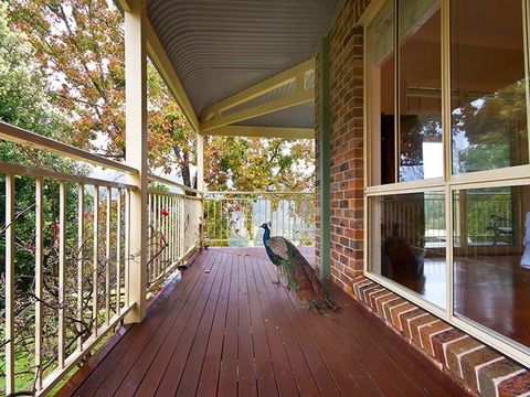 The Acreage Luxury B&B And Guesthouse - Accommodation Noosa 1