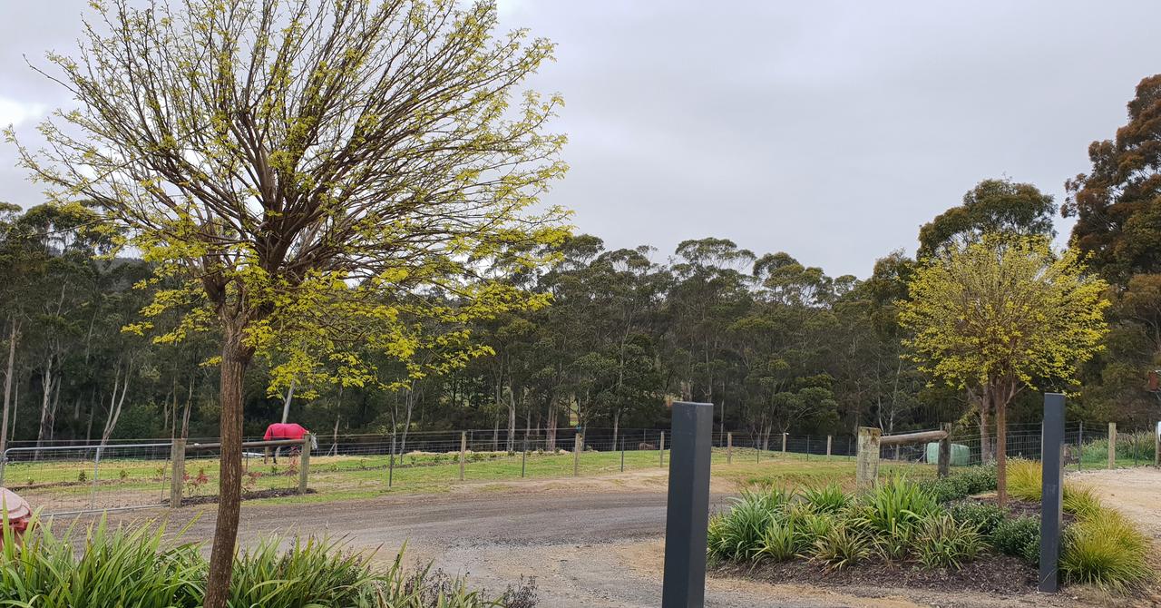  Accommodation Noosa