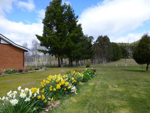 Quamby Pines Chalet - Accommodation Noosa 23