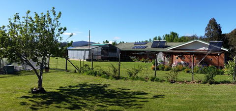 Quamby Pines Chalet - Accommodation Noosa 1