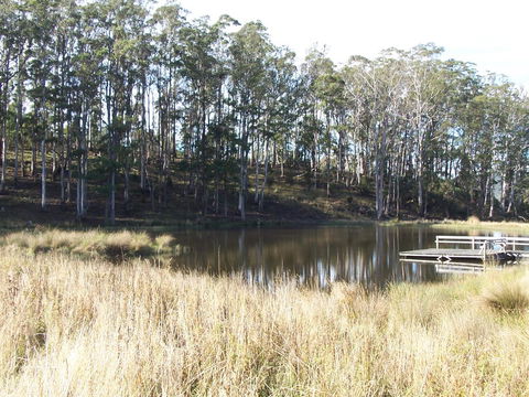 Quamby Pines Chalet - Accommodation Noosa 14