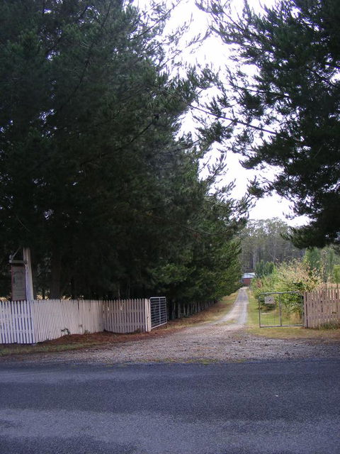 Quamby Pines Chalet - Accommodation Noosa 2