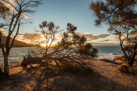 Freycinet Lodge - Accommodation Noosa 44