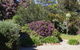 Hazards Beach House - thumb 1