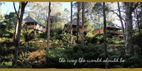 Lemonthyme Wilderness Retreat - Accommodation Noosa 20