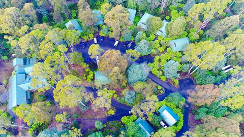 Lemonthyme Wilderness Retreat - Accommodation Noosa 1