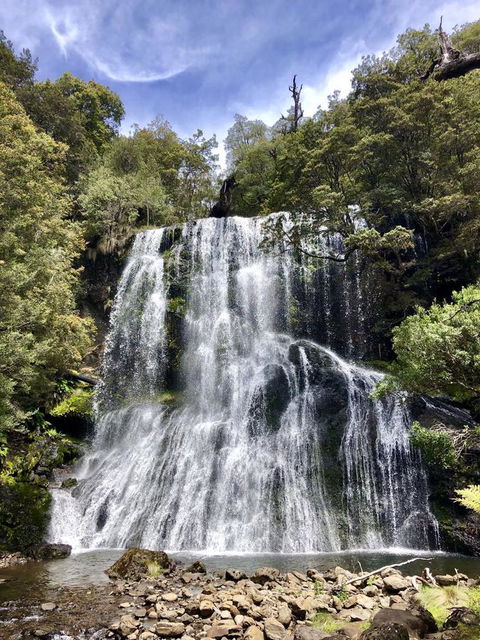 Lemonthyme Wilderness Retreat - Accommodation Noosa 9